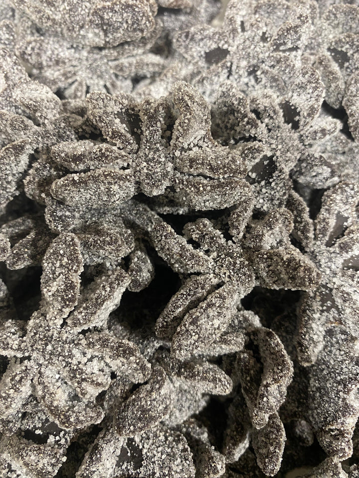 Araignées Noires